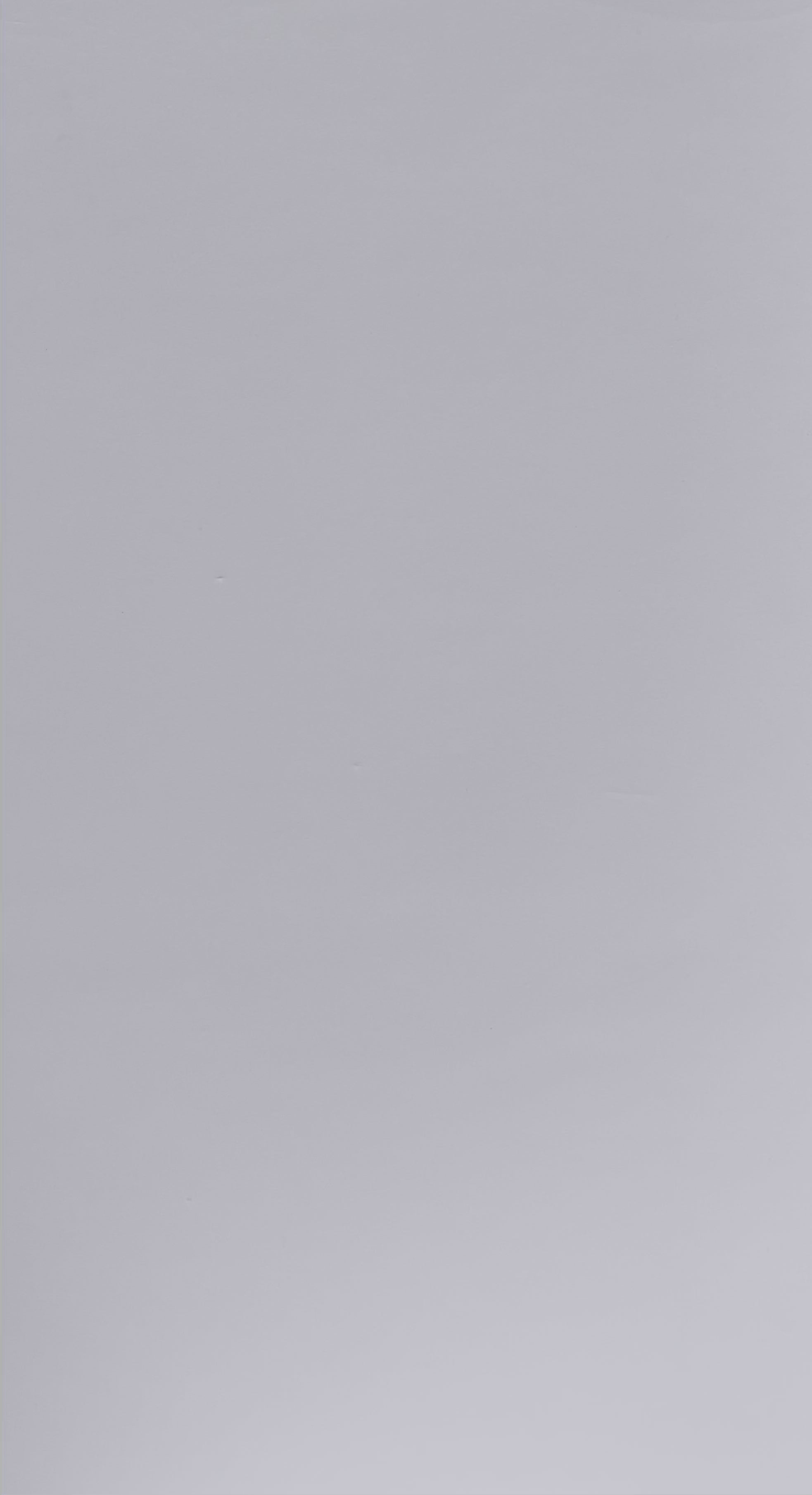 KOMOREBI / WHITE T-SHIRT