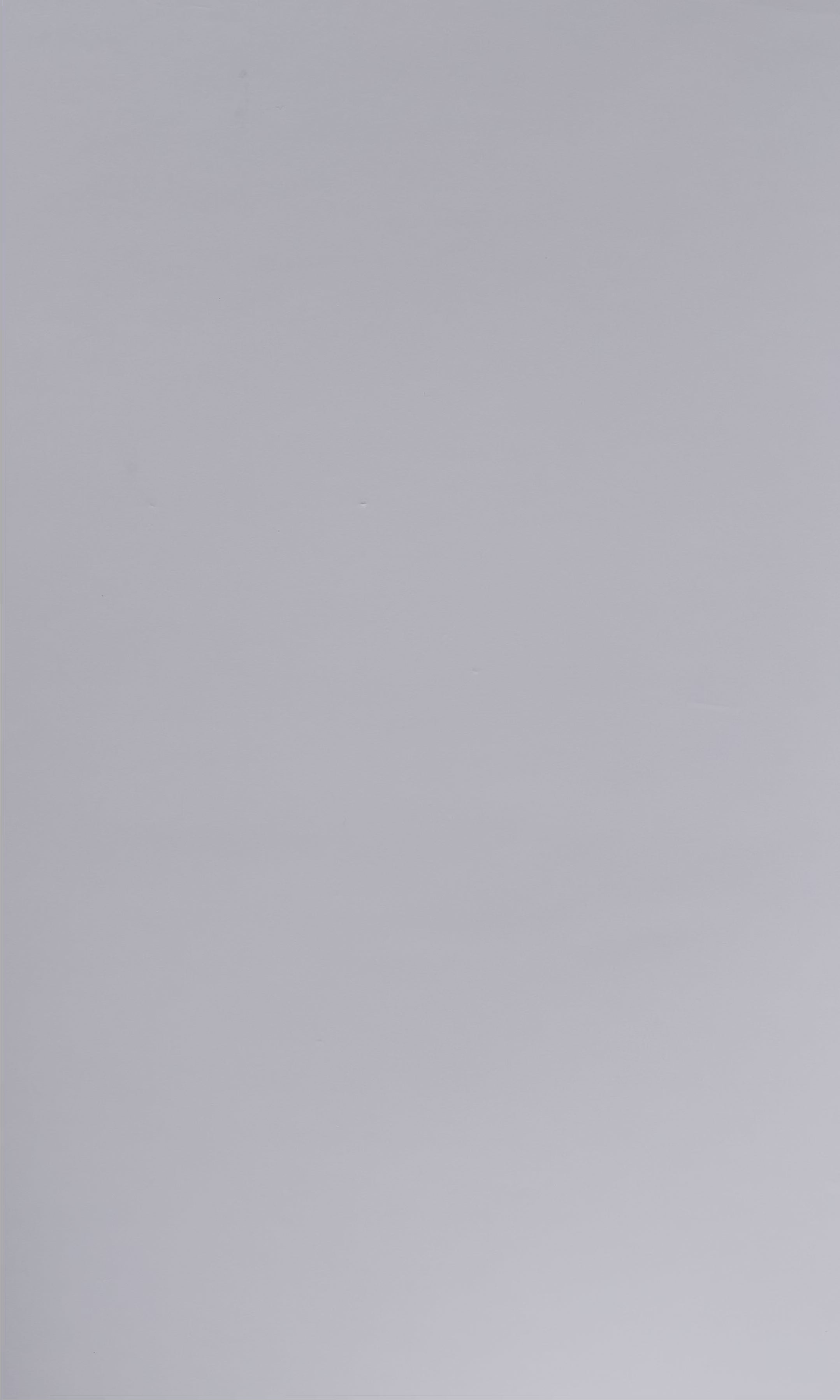 THIS FLOWER IS FOR YOU / WHITE T-SHIRT