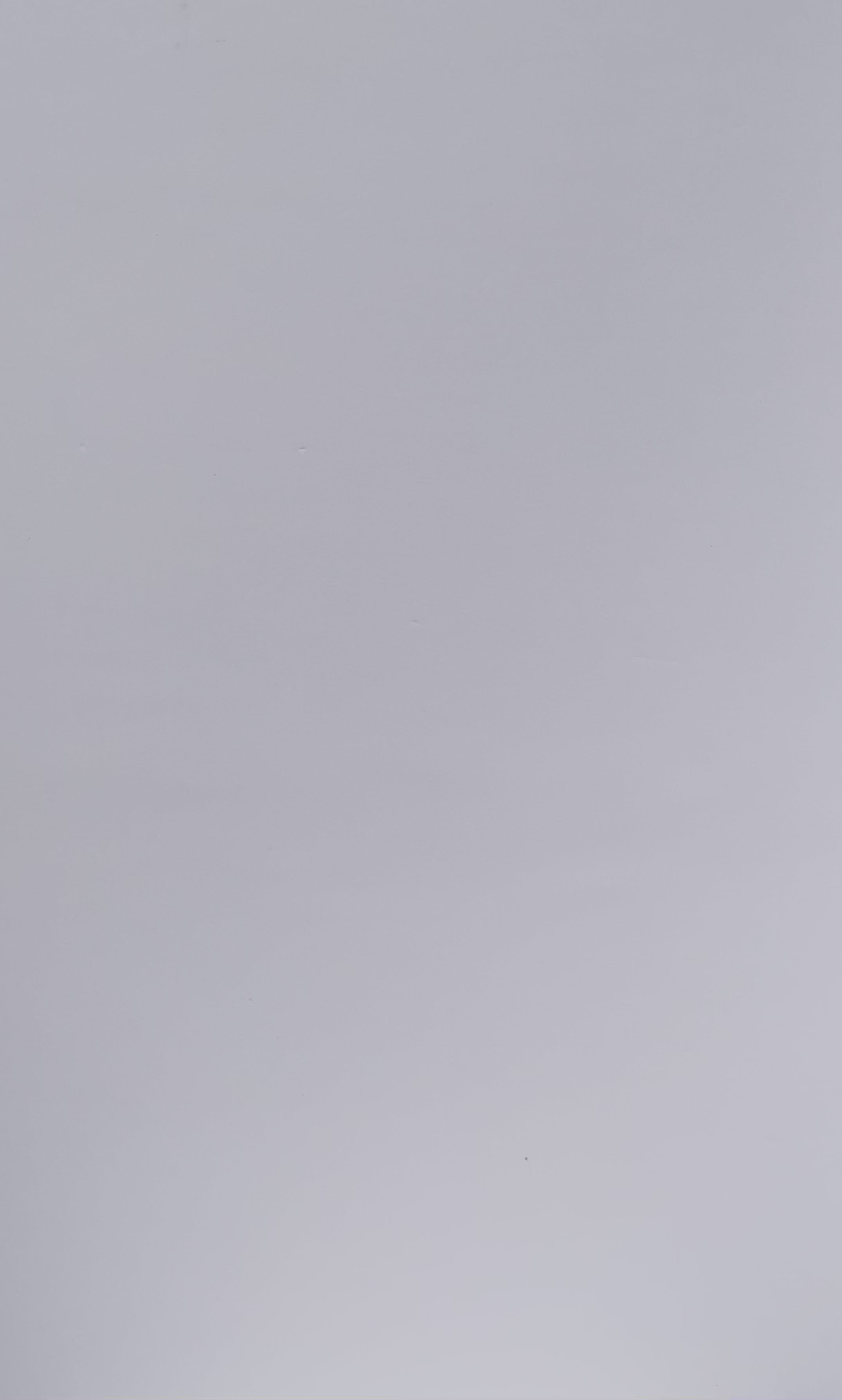 TI VOGLIO BENE / WHITE T-SHIRT