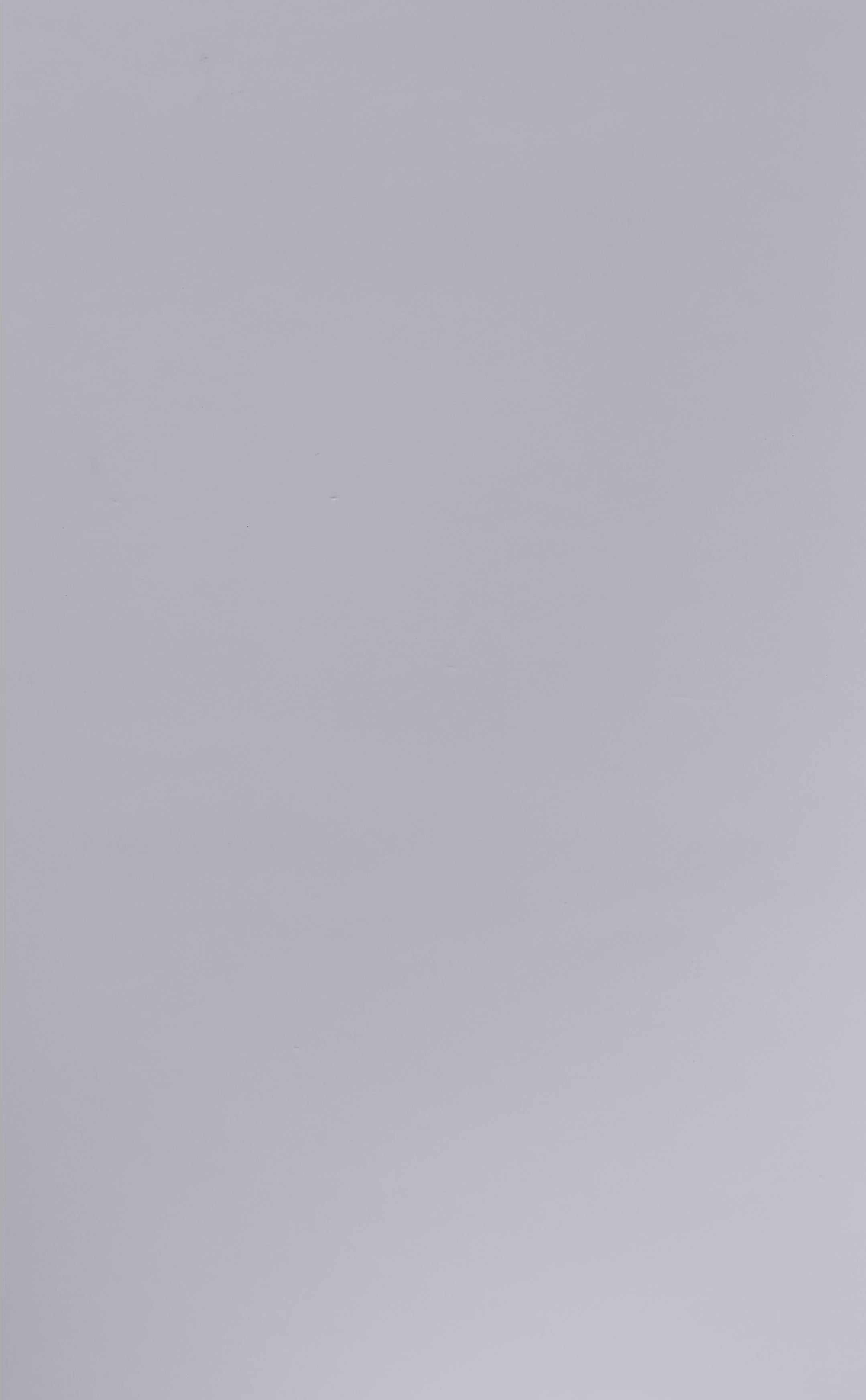 KINTSUGI / WHITE AND BLACK T-SHIRT