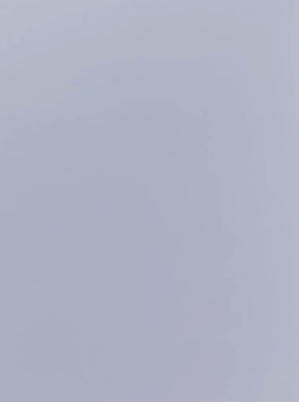 THIS FLOWER IS FOR YOU / ZAINO IN COTONE ORGANICO